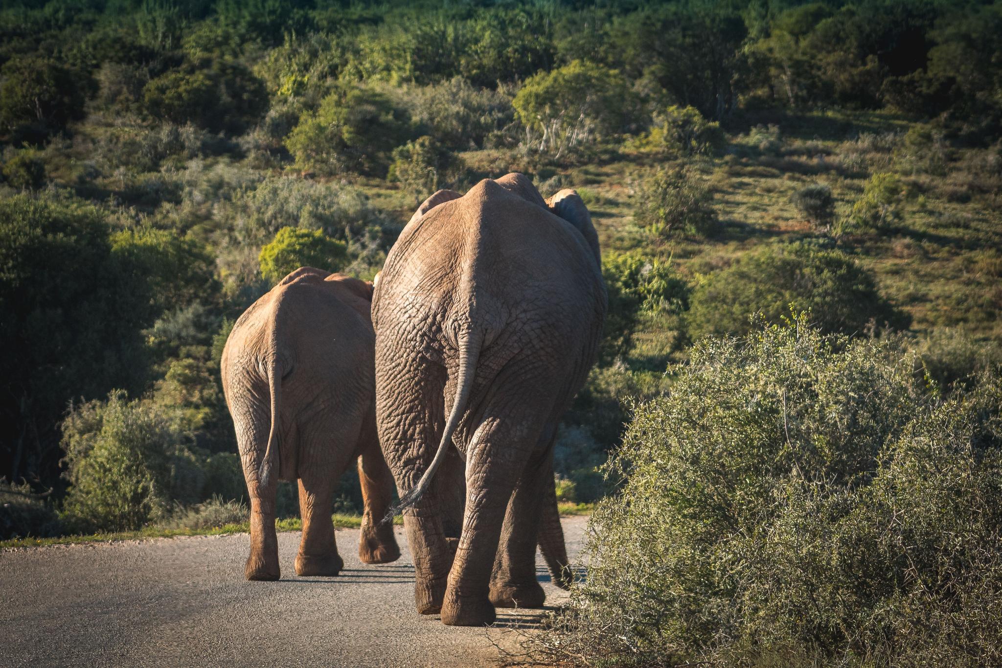 South Africa