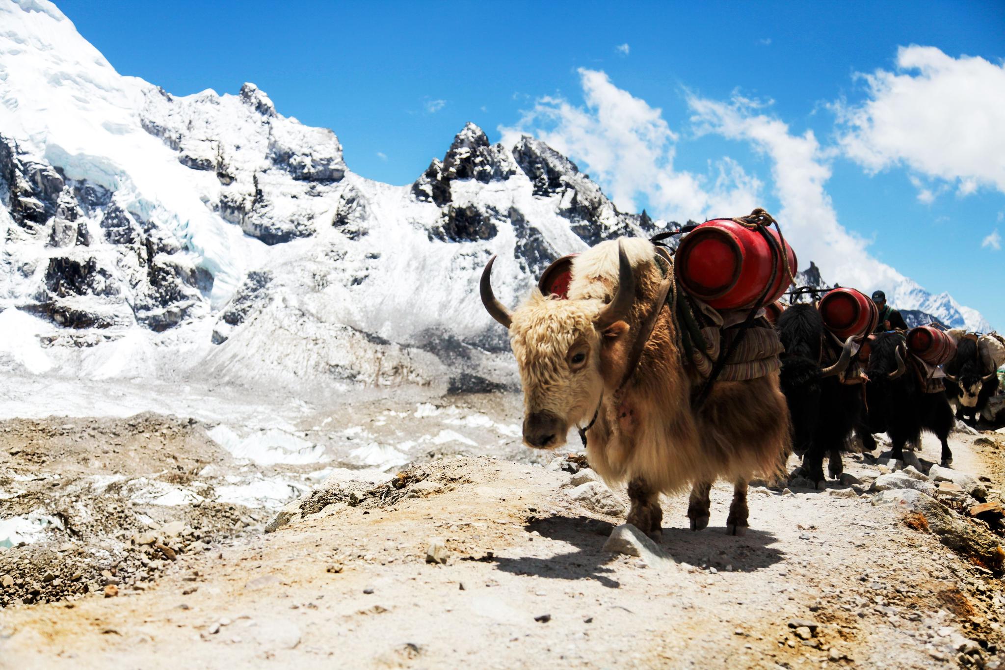 Nepal
