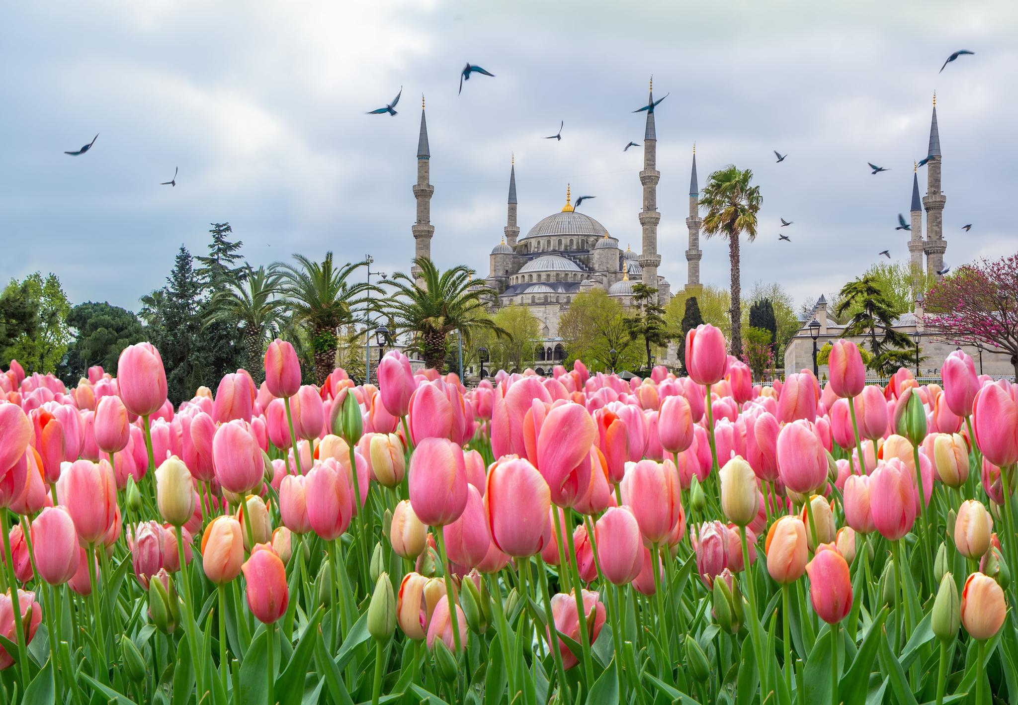Turkey