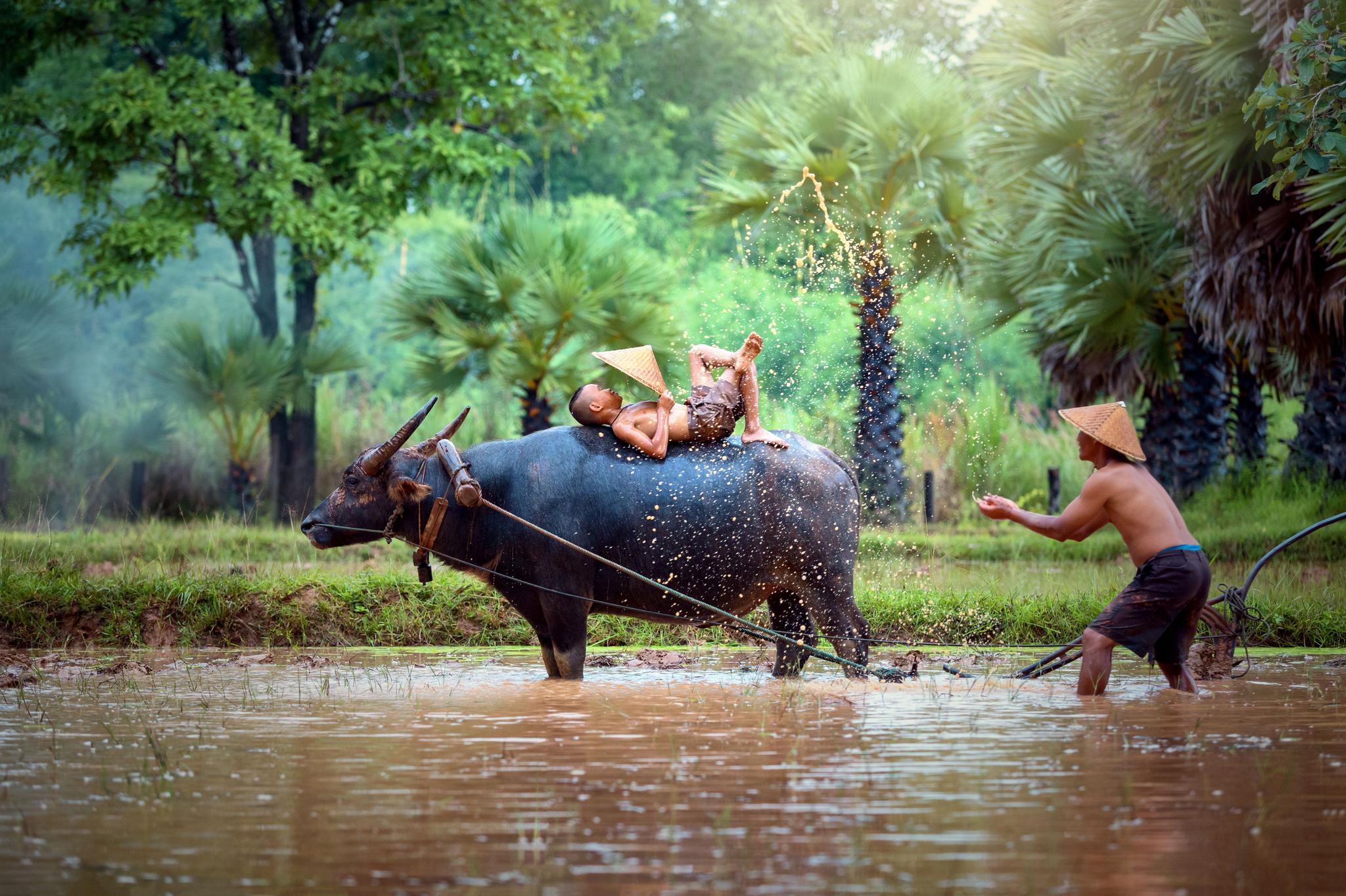 Vietnam