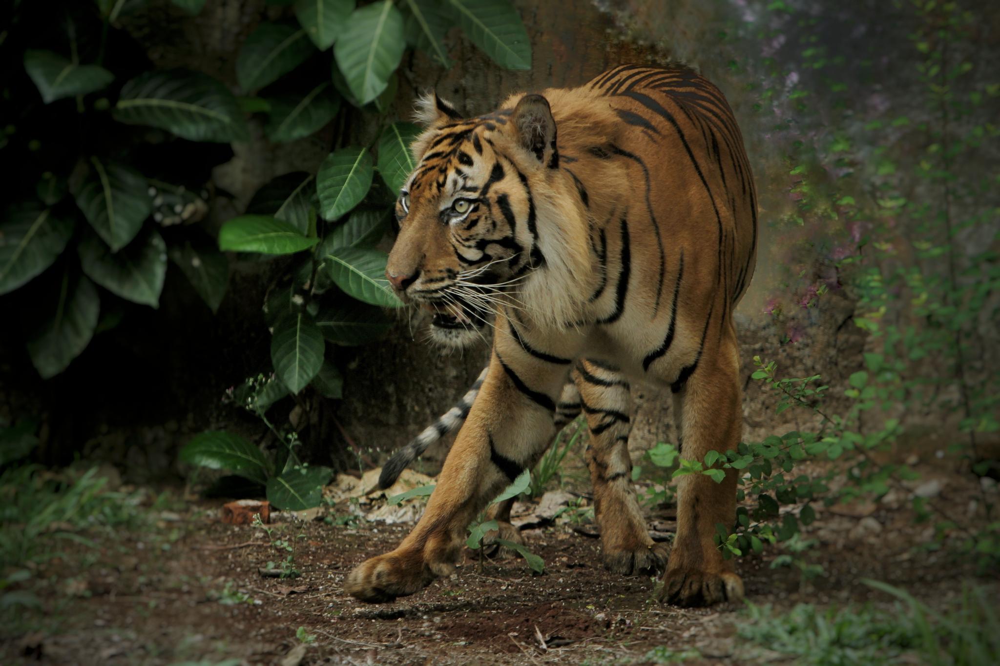 Malaysia