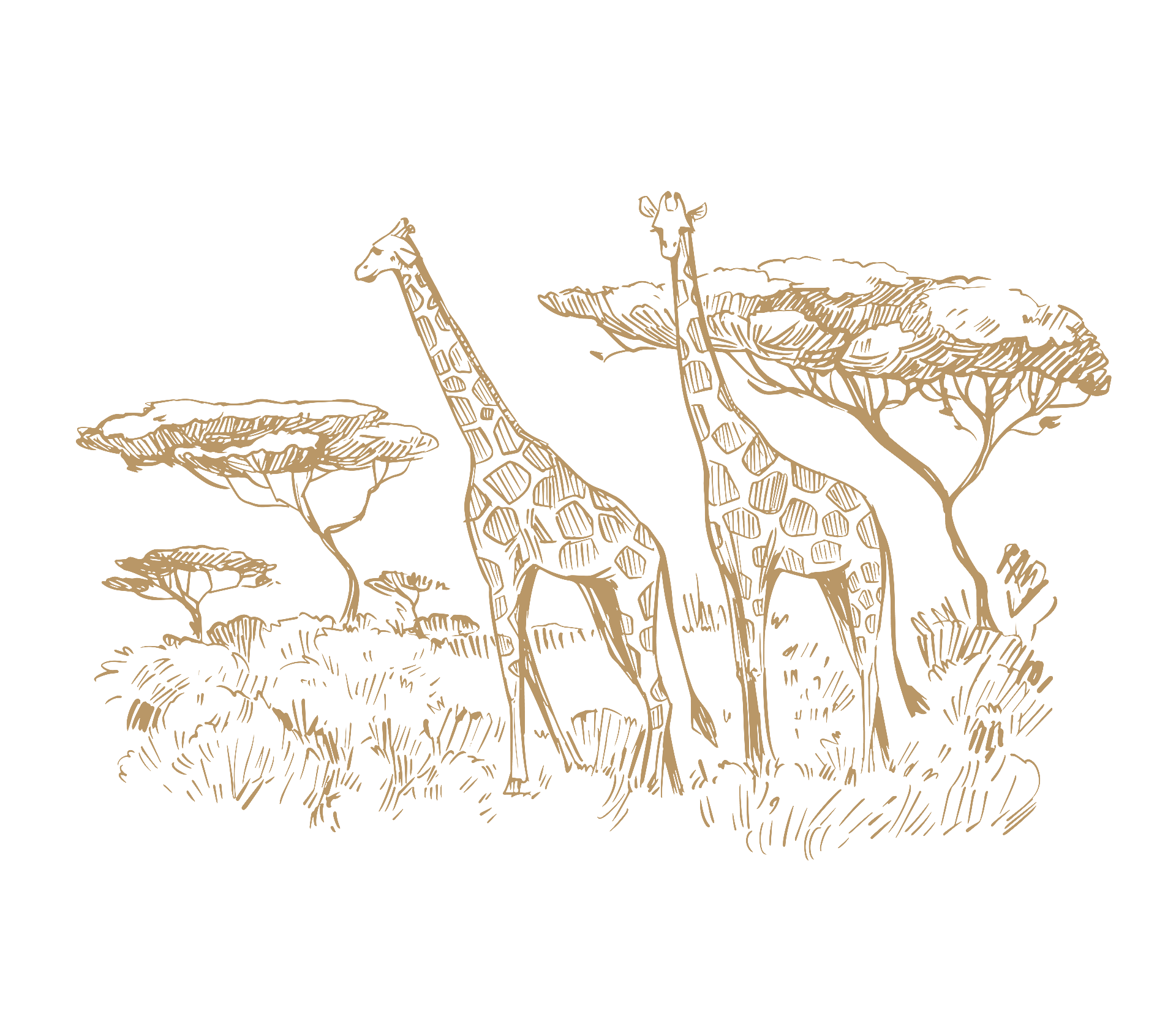 South Africa