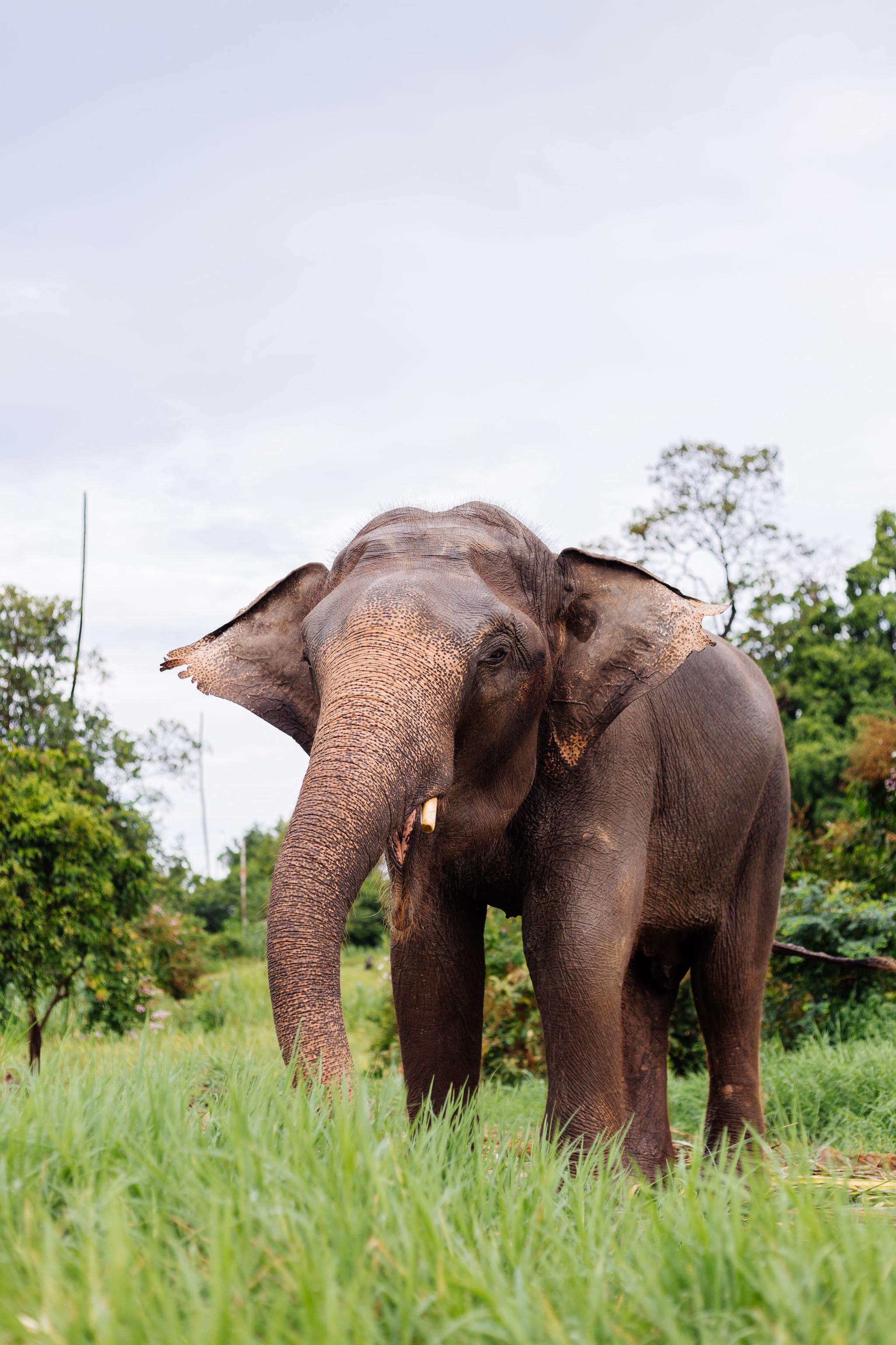 Sri Lanka