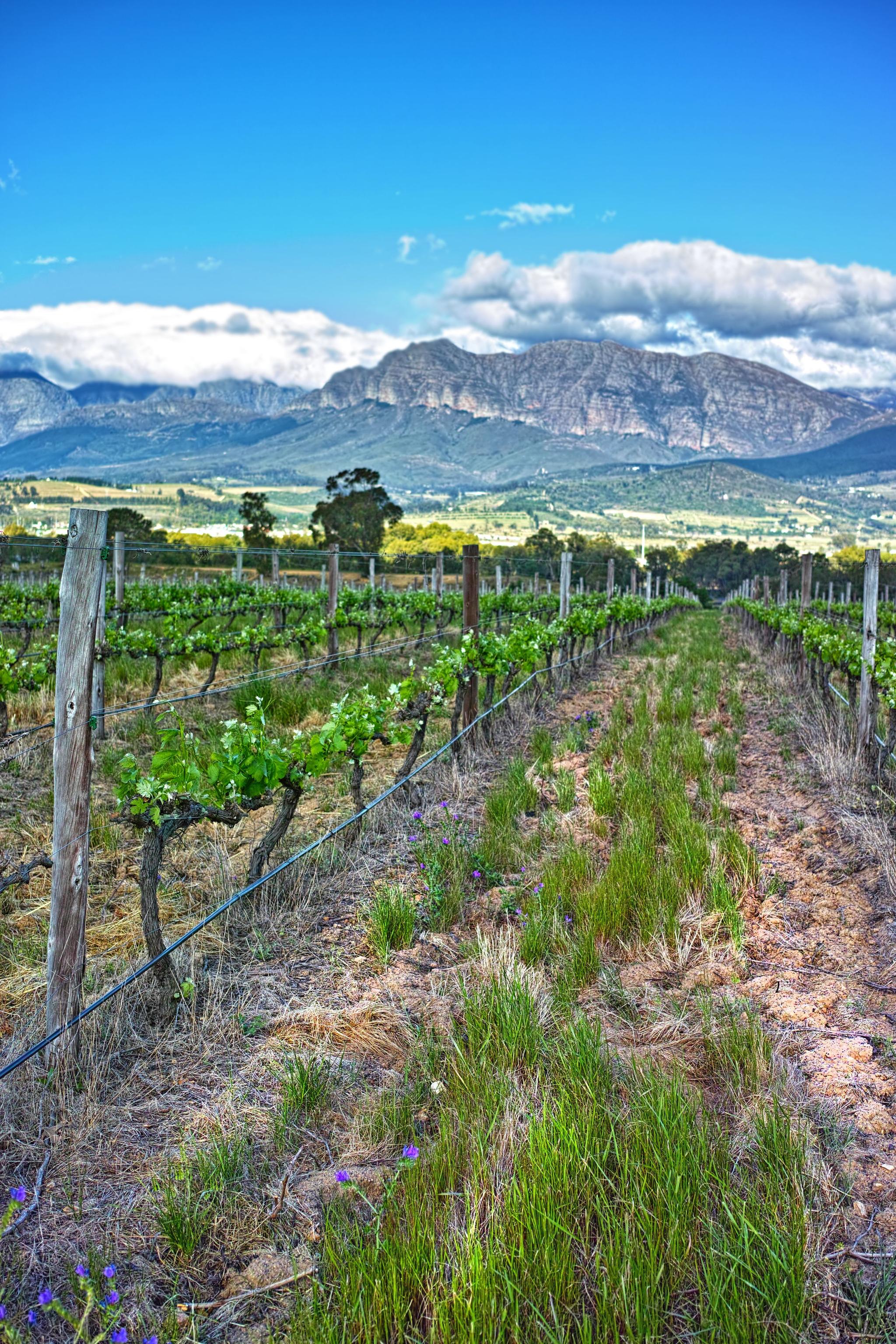 South Africa