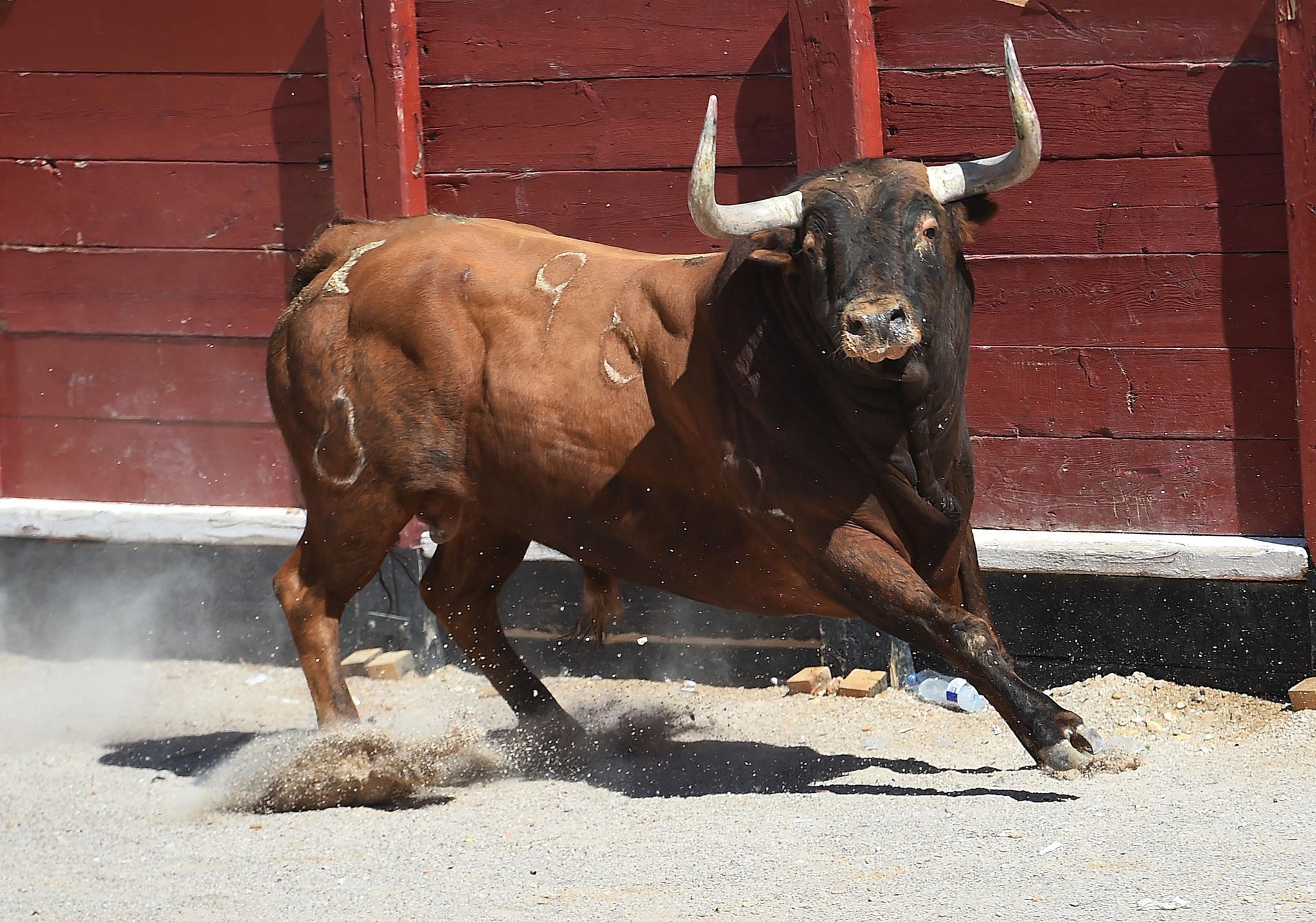 Spain