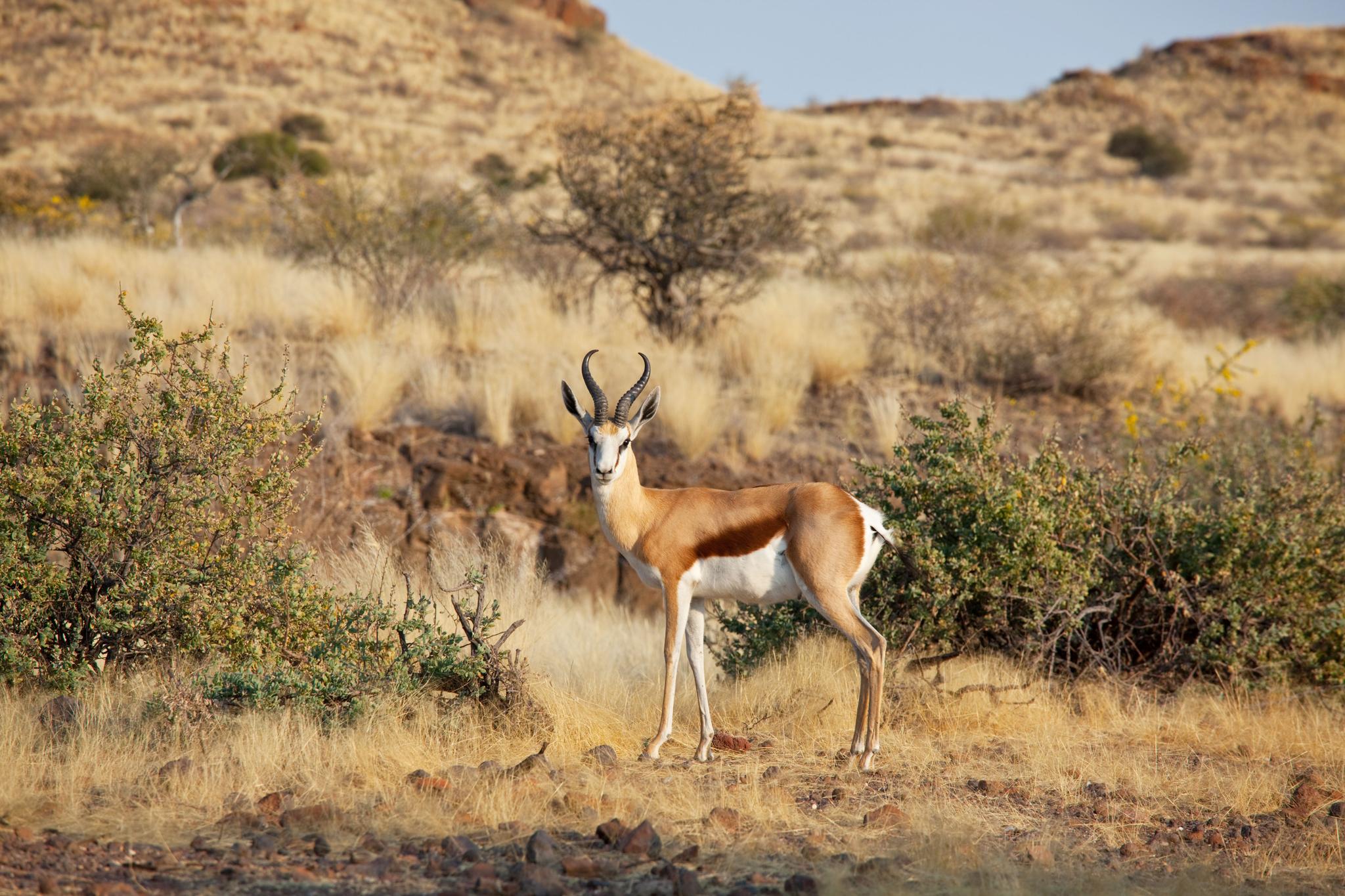 South Africa