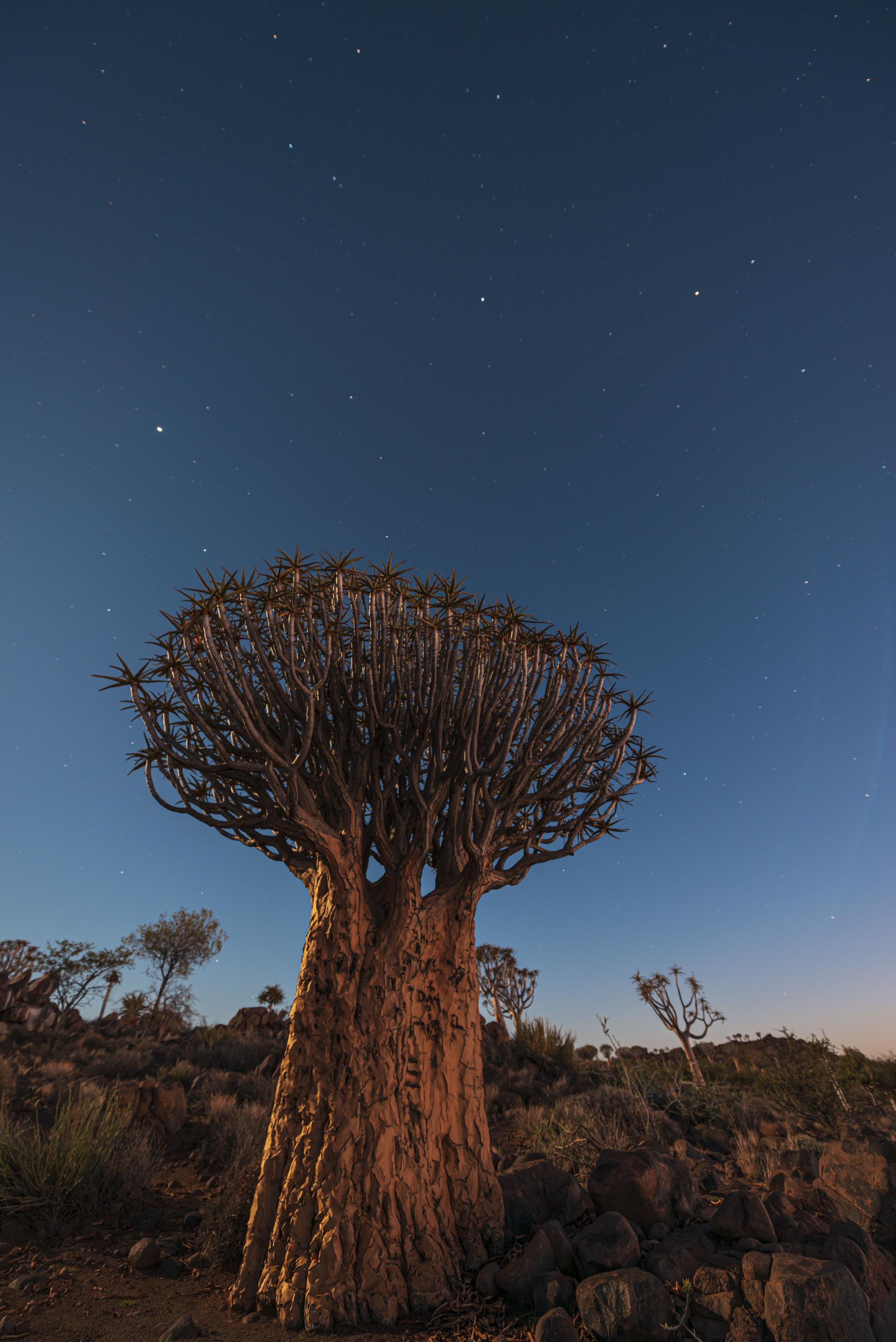 South Africa