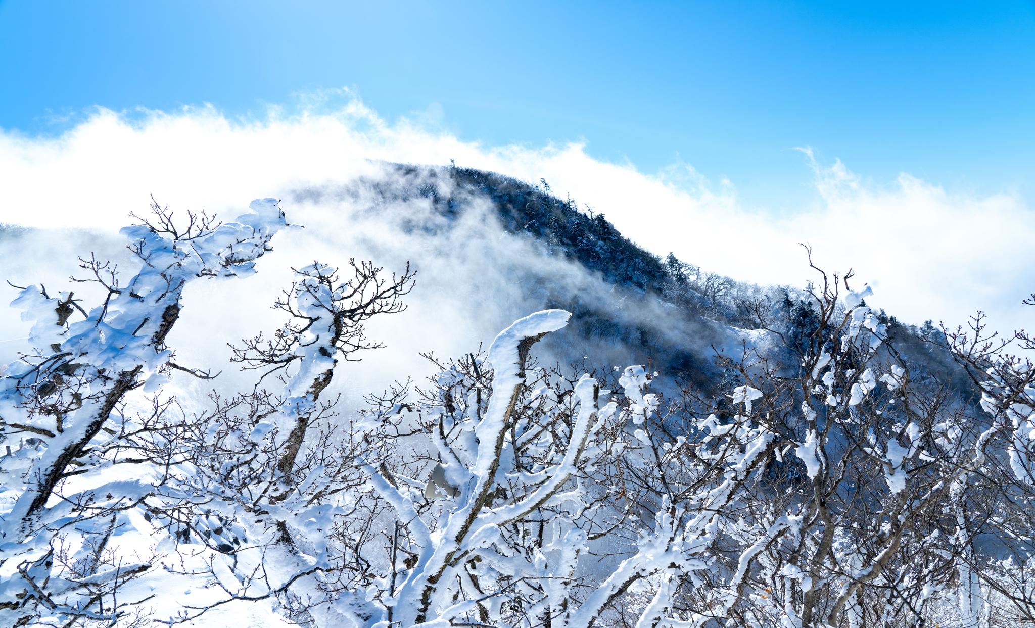 South Korea